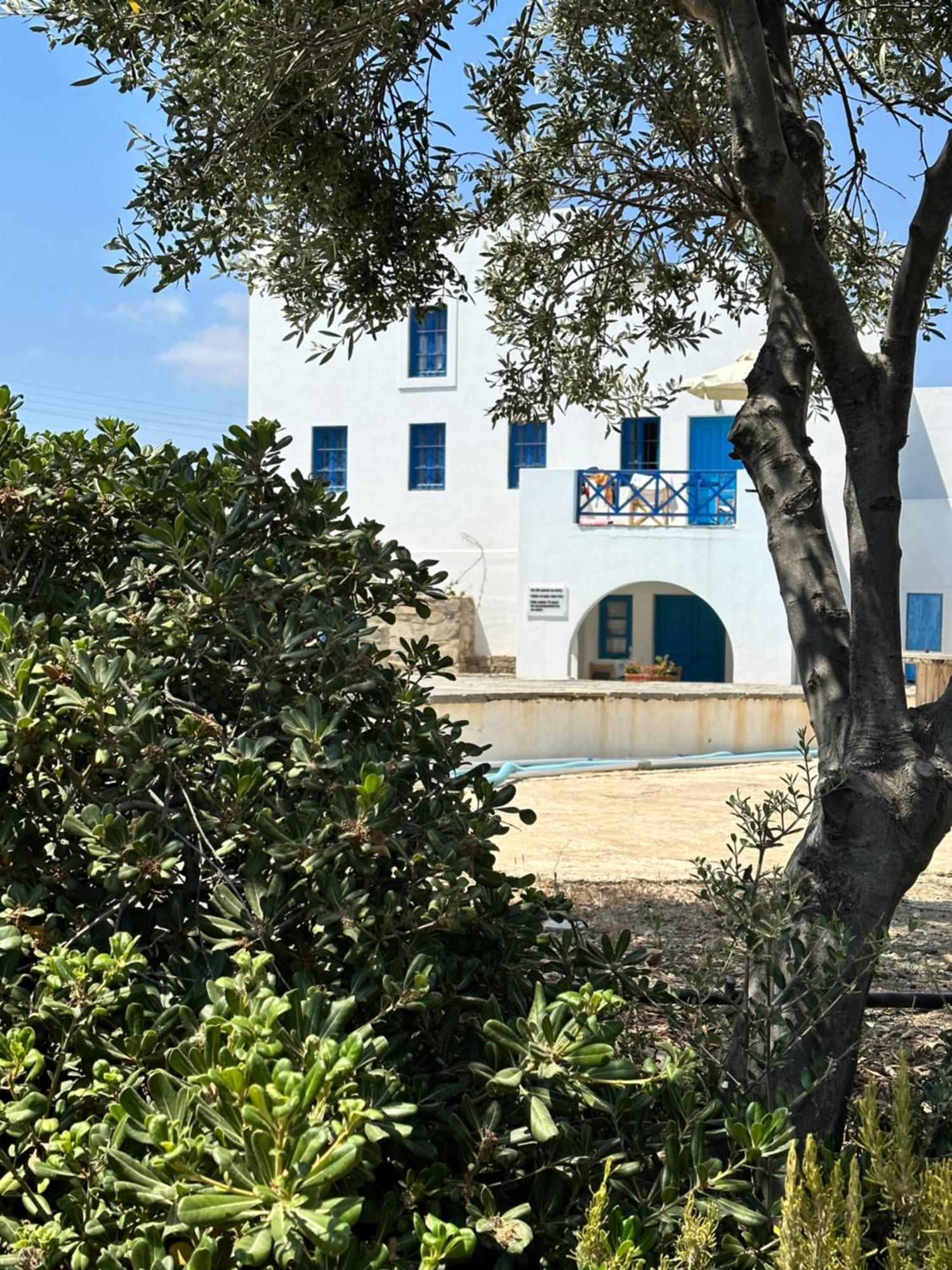 Iliopetra Studios Хриси-Акти Экстерьер фото